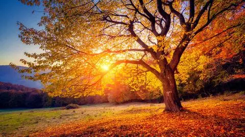 Pierwszy dzień jesieni. Kiedy rozpoczyna się meteorologiczna i astronomiczna jesień?