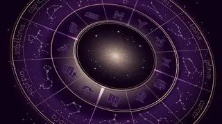 Znaki zodiaku