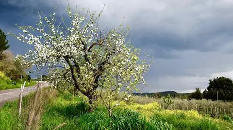 Pogoda na wtorek. Ile będzie stopni?