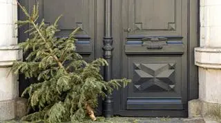 Wyrzucasz choinkę przez balkon? Prawnik ostrzega