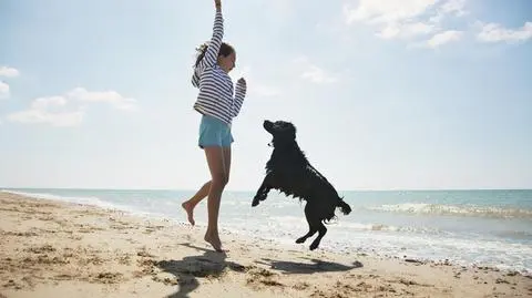 Gdzie można w Polsce plażować z psem? Oto lista miejsc przyjaznych czworonogom