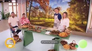 Dlaczego warto suszyć grzyby? - napisy