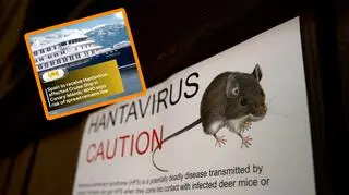 Śmiertelny hantawirus na statku MV Hondius