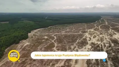 DD_20240619_Kostrzynski_rep_REP_napisy