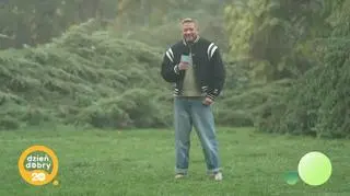 Pogoda na dziś 
