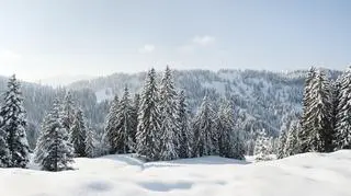 Pogoda na poniedziałek. Gdzie spadnie śnieg?