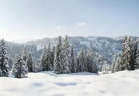Pogoda na poniedziałek. Gdzie spadnie śnieg?