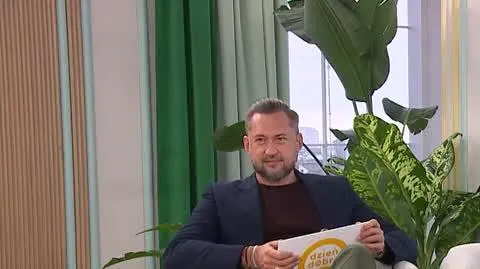 DD_20241118_Chat_REP