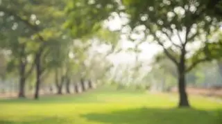 Park