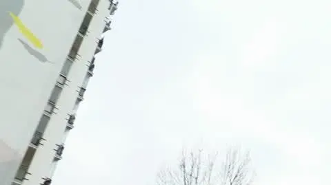 DD_20221230_Prodiz_rep_REP