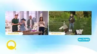 Pogoda na dziś 