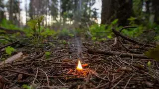 W większości kraju obowiązuje ekstremalny poziom zagrożenia pożarowego. Czy można wchodzić do lasów?