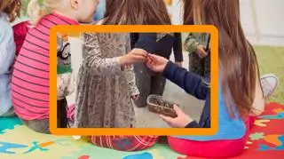 Dzieci podczas zajęć w przedszkolu jadły robaki. Rodzice są oburzeni