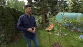 Ogródki działkowe - ile kosztują, jak je kupić?