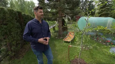 Ogródki działkowe - ile kosztują, jak je kupić?