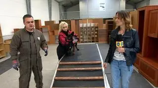 Psy do zadań specjalnych. "Nie każdy nadaje się do pracy w policji"  