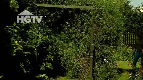HGTV_NMWO_Rosliny_Doniczkowe