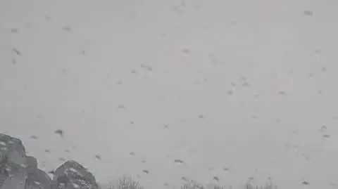 DD_20231125_SOPW_rep_REP