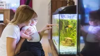 dziecko z mamą przygląda się akwarium