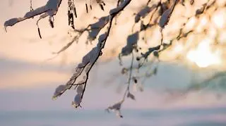 Pogoda na jutro, 21 stycznia 2024. Jaka będzie aura w niedzielę?