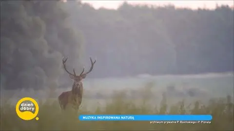 Muzyka inspirowana naturą