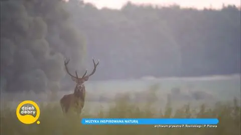 Muzyka inspirowana naturą