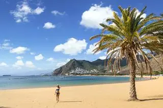 Santa Cruz 