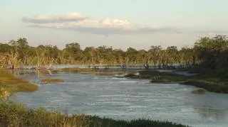 Miejsca, które warto zobaczyć w Paragwaju – Asuncion, Gran Chaco i ruiny redukcji jezuickich