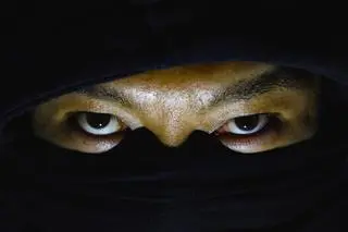 ninja