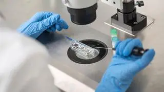 Białystok wyszedł na przeciw przyszłym rodzicom. Będzie refundacja in vitro