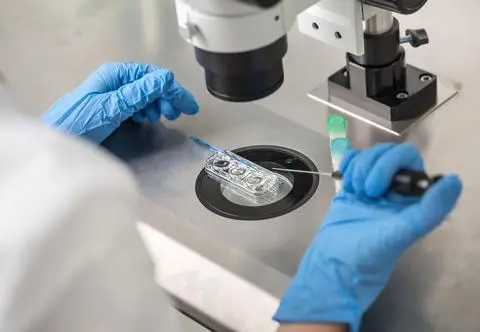 Białystok wyszedł na przeciw przyszłym rodzicom. Będzie refundacja in vitro