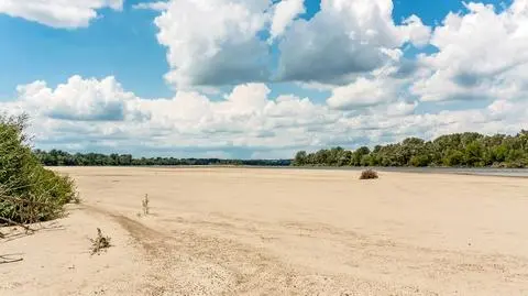 To prawdopodobnie najpiękniejsza plaża na Mazowszu. Wejście na nią może nas jednak słono kosztować