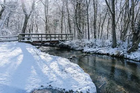 Pogoda na niedzielę 5 lutego. Gdzie będzie padał śnieg?