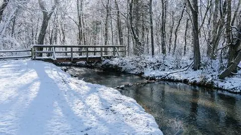 Pogoda na niedzielę 5 lutego. Gdzie będzie padał śnieg?