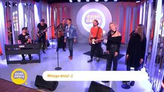 Budka Suflera w piosence „Skaza” 