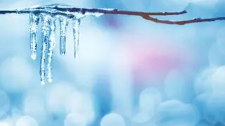 Prognoza pogody na wtorek 23 stycznia. Czy to koniec zimy?