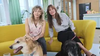 Maja Ostaszewska i Magdalena Popławska nie kryją miłości do zwierząt. "Szukamy dla nich domu"