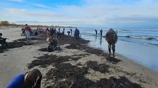 Tłumy na plaży w Mikoszewie. "Aż mnie skręca z żalu, że mnie tam nie ma"