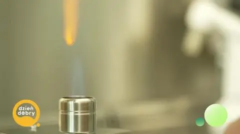 DD_20241011_Gabka_rep_REP