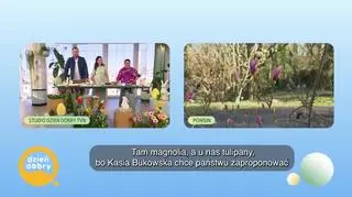 Jak pomysłowo przygotować nasz stół na Wielkanoc? (napisy)