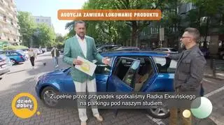 Jak czuje się pies w samochodzie? - napisy