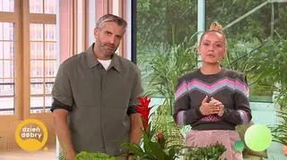 Które rośliny wytwarzają najwięcej tlenu? 