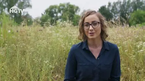 240704_HGTV_PNO_Trawa