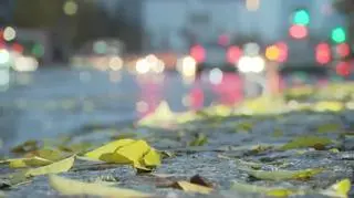 Sebastian Zys & Red Guitars w piosence “Ciągle pada” 