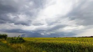 Chmury burzowe nad polem