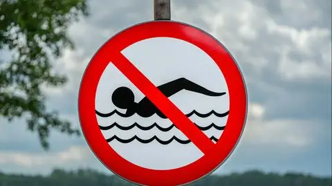 Sinice w Bałtyku 