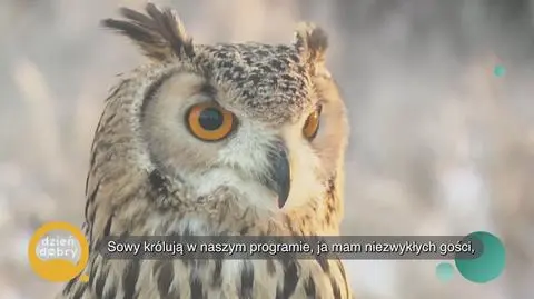 Klatka kluczowa-176133