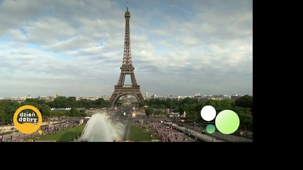 DD_20241020_Grzyby_rep_REP