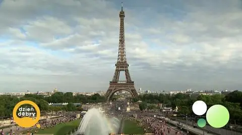 DD_20241020_Grzyby_rep_REP