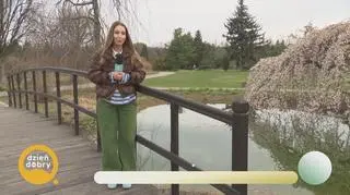 Ogród Botaniczny zamienia się w prawdziwą wiosenną scenerię 